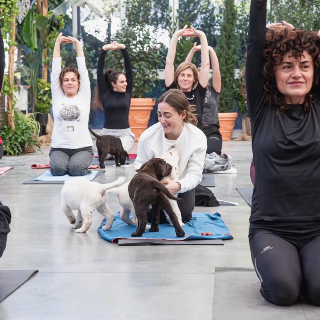 Puppy Yoga: il benessere psicofisico in connessione con gli amici a 4 zampe! Immagine