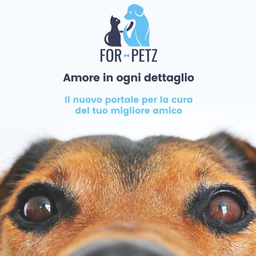 immagine For Petz: il portale per la cura degli amici animali a 360 gradi!
