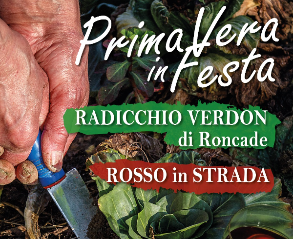 PrimaVera in Festa: il Radicchio Verdon in strada a Roncade! immagine