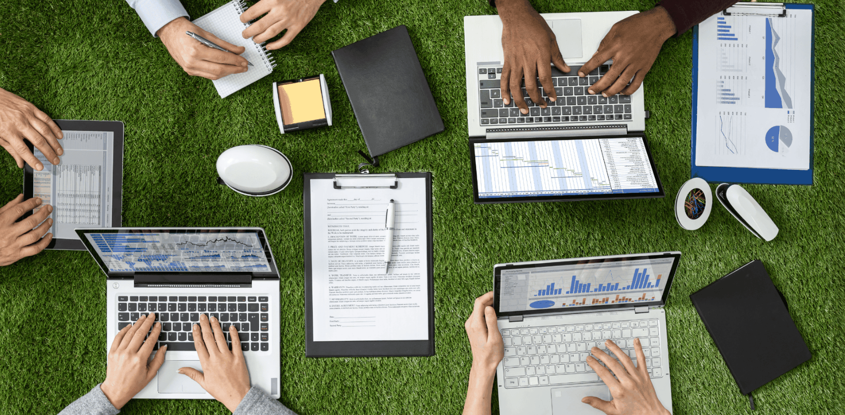 Quali sono le professioni green e sostenibili più richieste in Italia? Immagine