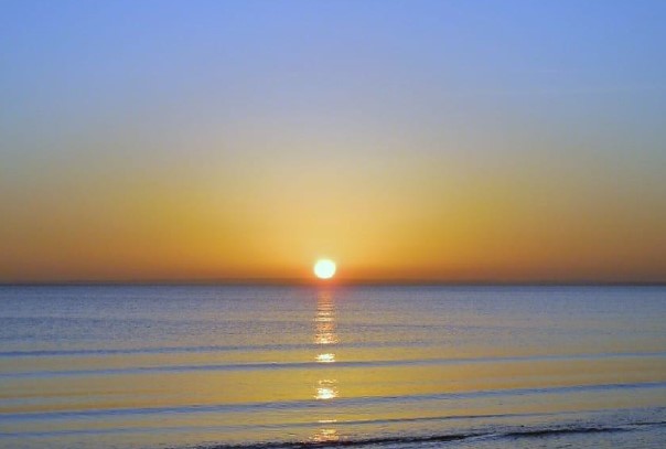 Maria Coltura Cataldo: Un profilo professionale dedicato alle Famiglie e ai Minorenni immagine