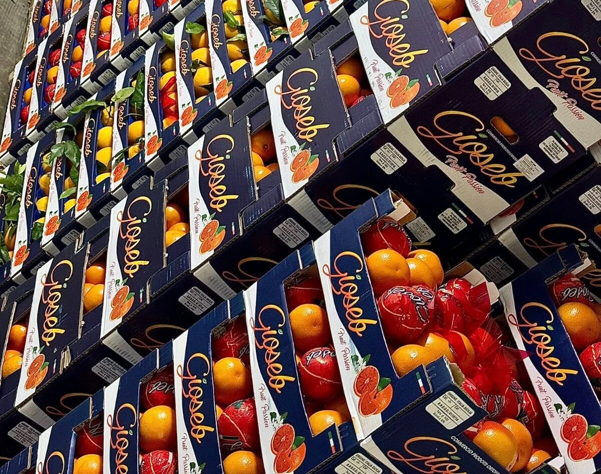 Michael Fruit: l’eccellenza dell’ortofrutta a Rovellasca tra tradizione e innovazione digitale Immagine