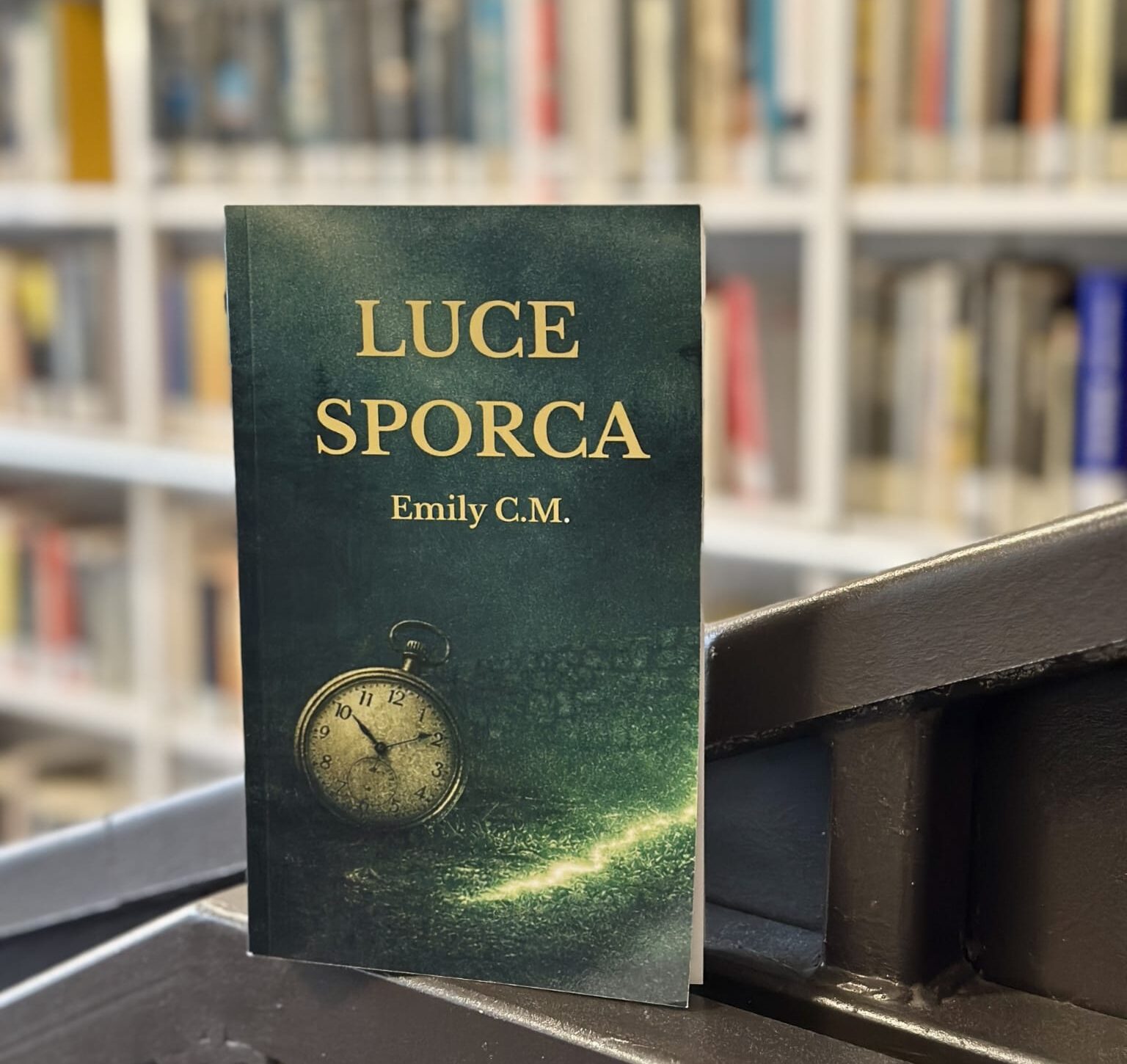 “Luce Sporca”: il nuovo romanzo noir di Emily C.M. immagine