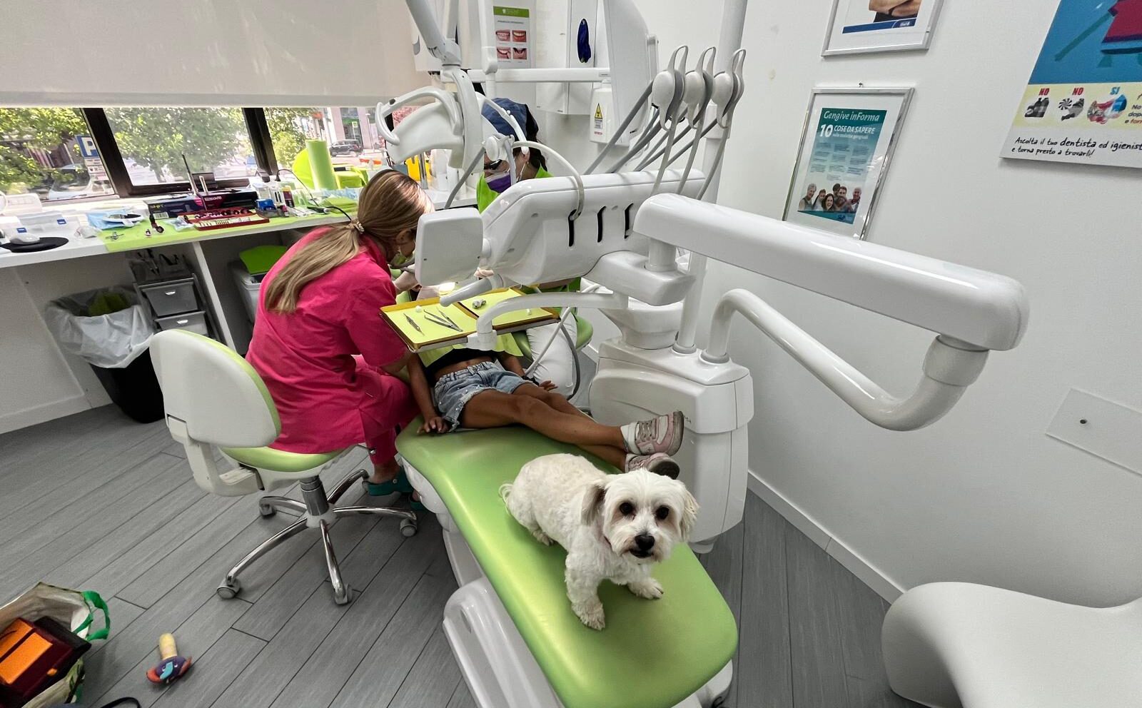 Gestire la paura del dentista nei bambini: Sedazione Cosciente e Pet Therapy da Tealdo Centri Odontoiatrici immagine