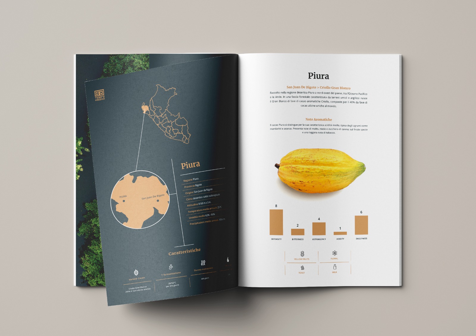 Olaf Feltrin alla guida di Göllmann Agency: Marketing as a Service per brand premium e mercati complessi Immagine