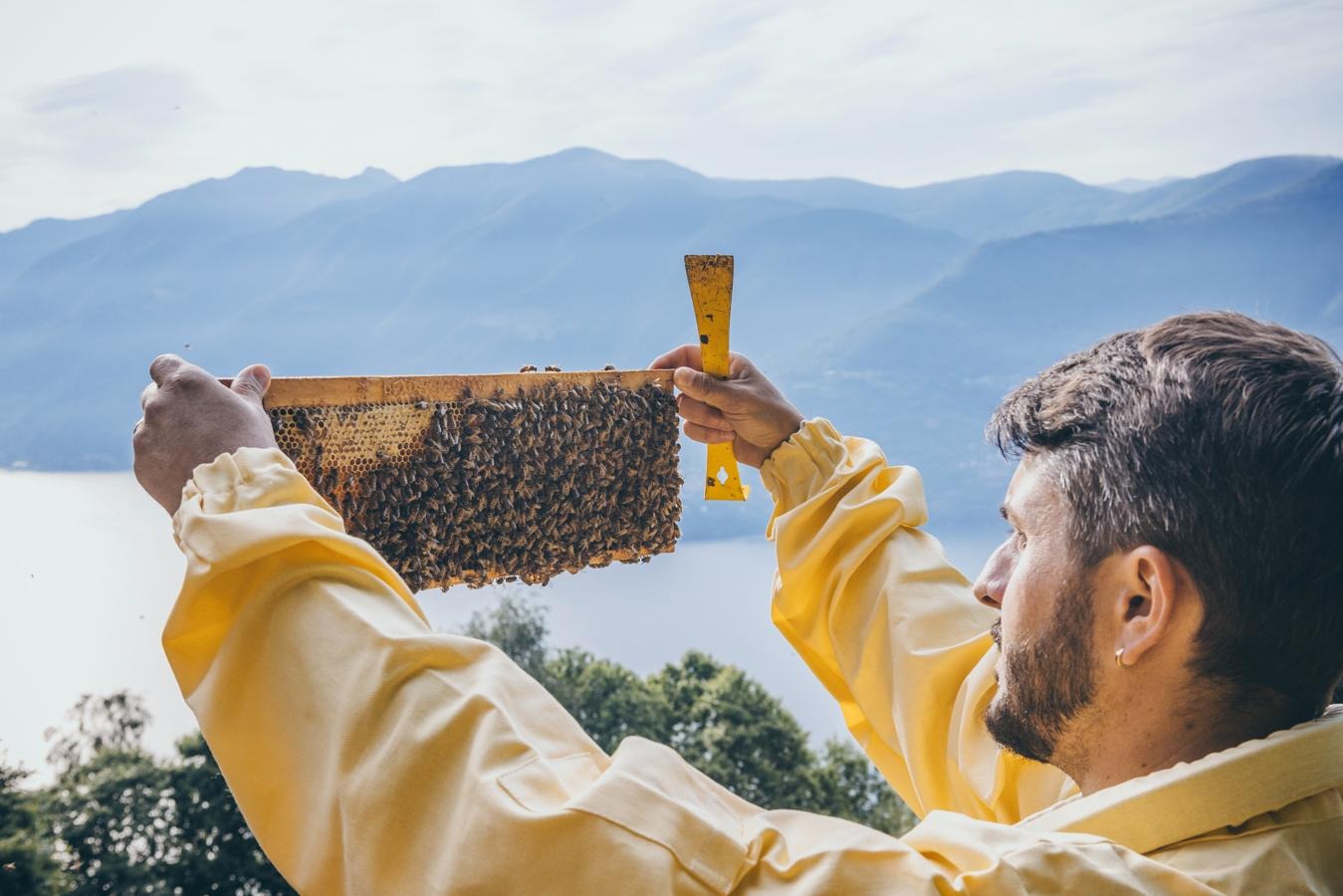 Bee Farm ed un mestiere diventato impresa: l’apicoltura che valorizza la biodiversità della natura ticinese Immagine