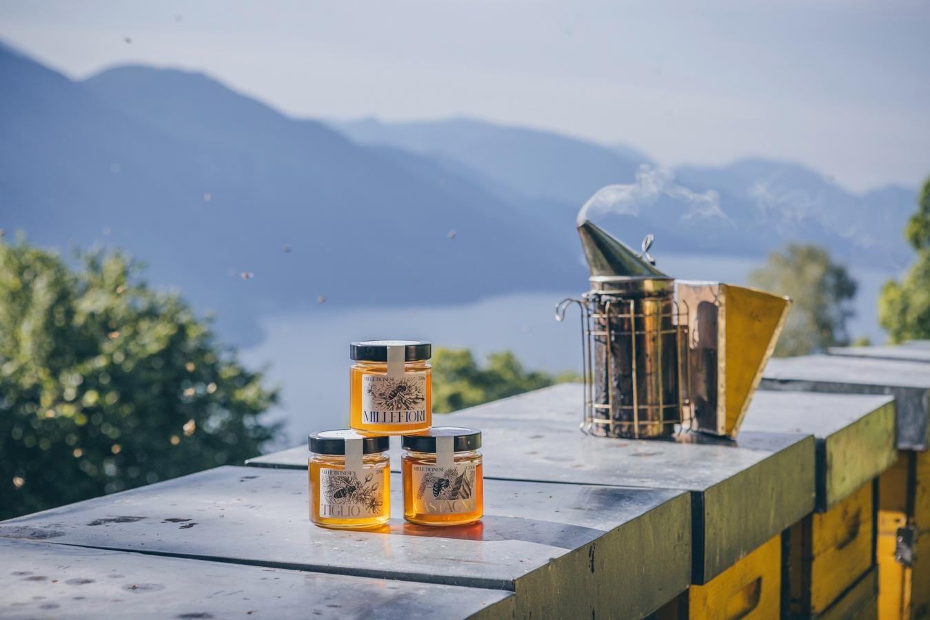 Bee Farm tra vendita online, regali aziendali e B2B: una realtà ticinese che cresce e si afferma con solidità Immagine