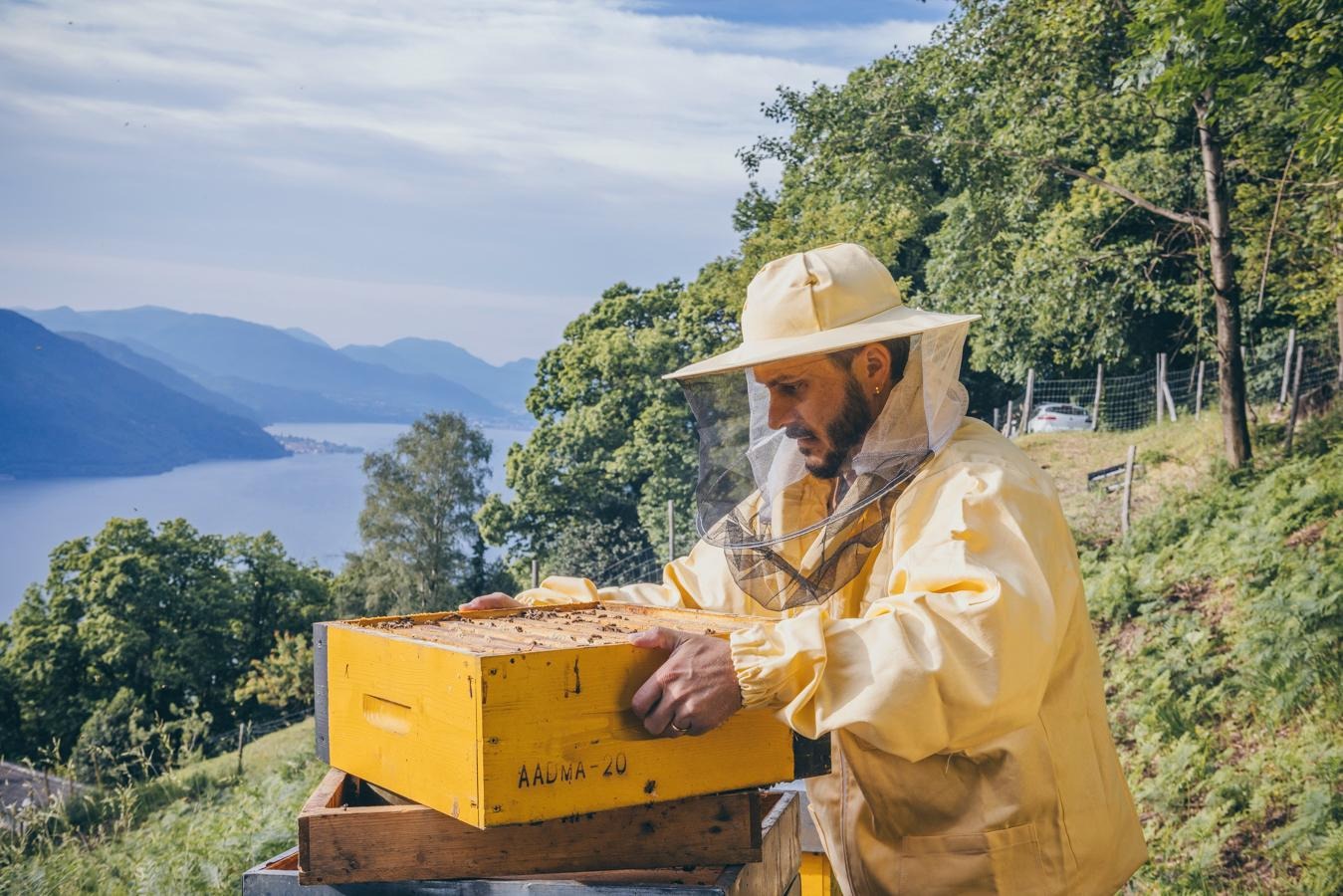 Bee Farm e il valore del territorio: un miele autentico che racconta il Ticino Immagine