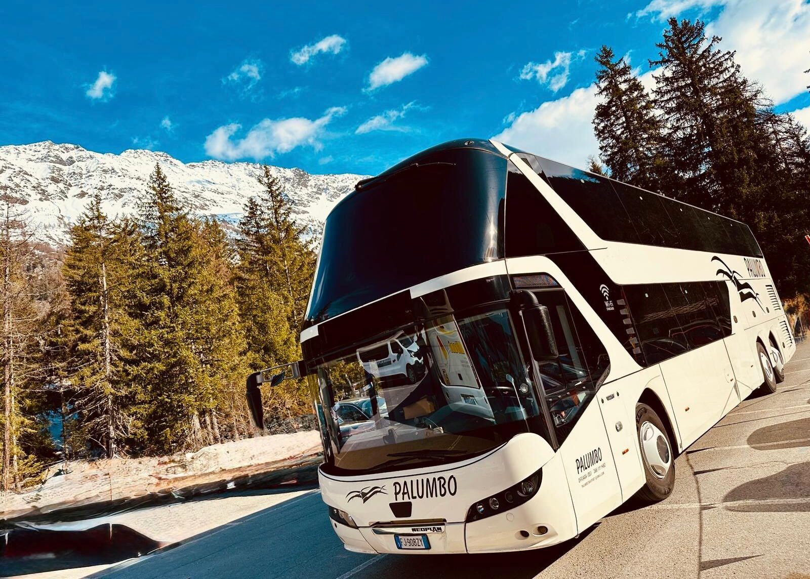 Palumbo Trasporti: Eccellenza e Affidabilità nel Trasporto Persone e Logistica immagine