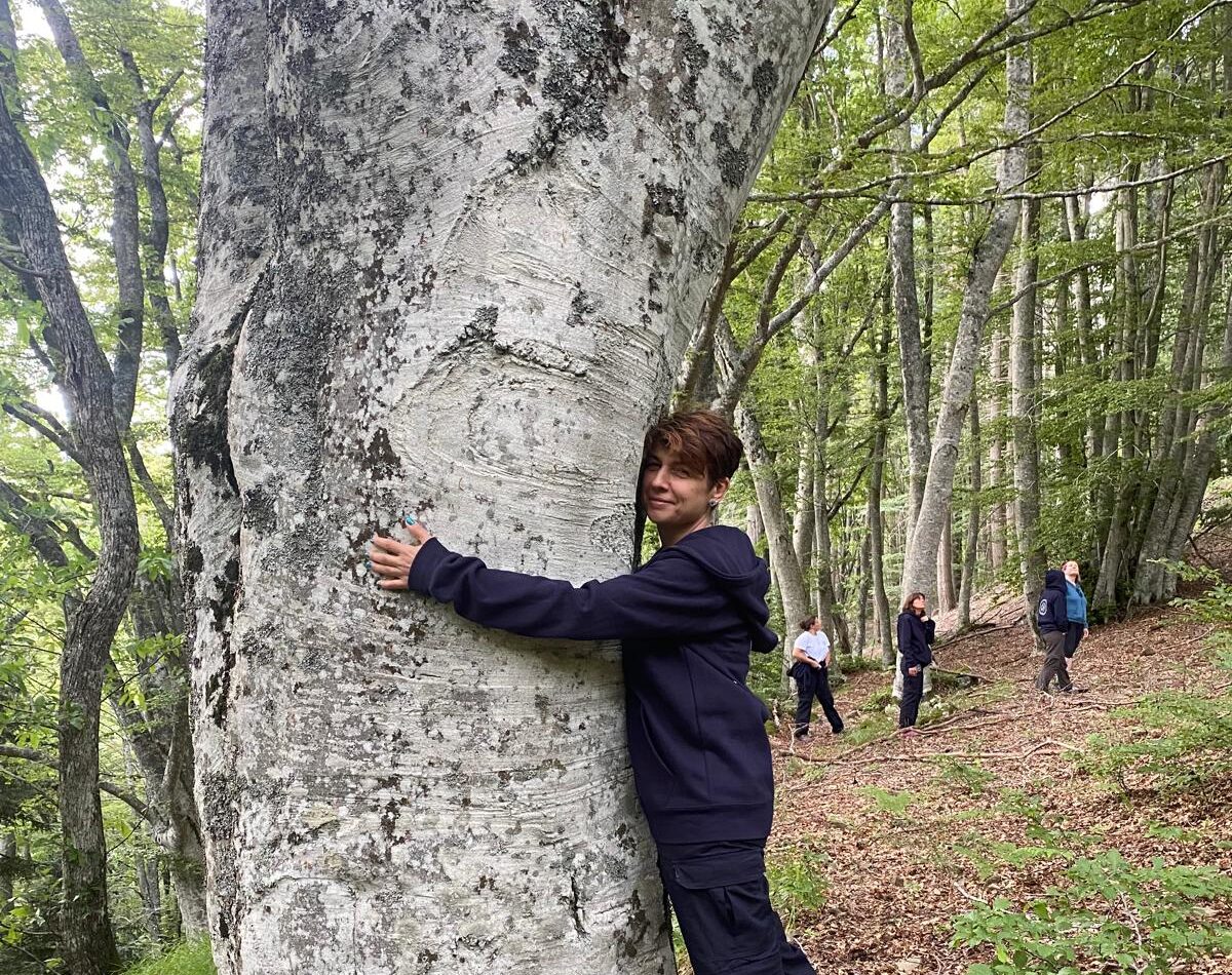 Forest Therapy a Milano: esperienze di benessere nella natura con Silvia Turchi Immagine