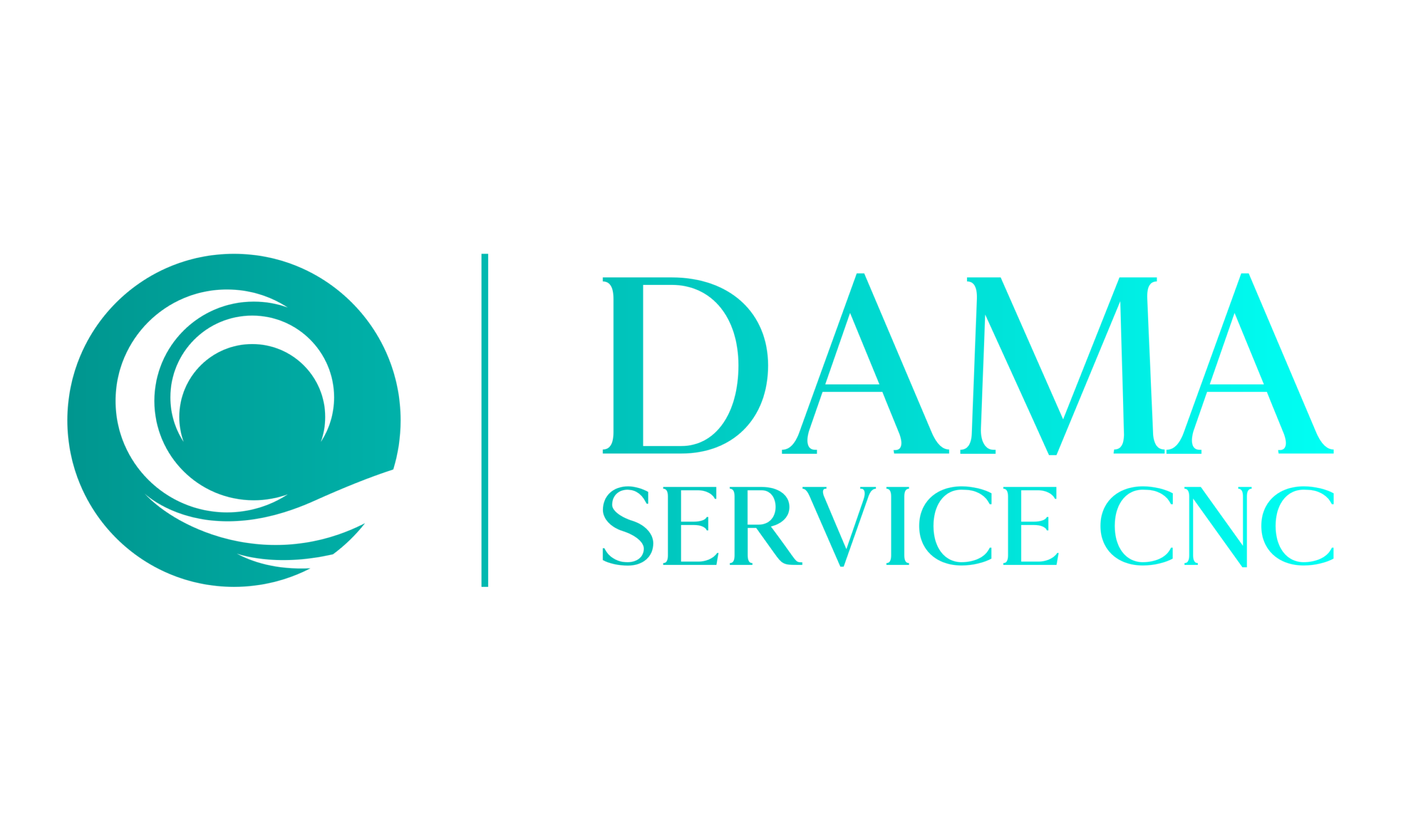 Davide Maiandi – Titolare presso Dama Service CNC S.r.l., Paderno Dugnano (MI) immagine