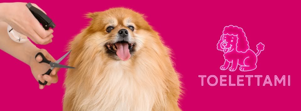 Toelettami The Dog Spa: Benessere a Quattro Zampe a Milano Immagine