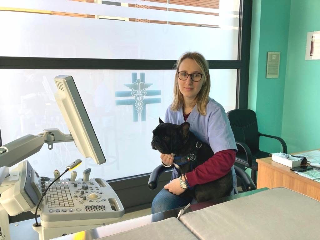 Dalla passione per gli animali a un ambulatorio veterinario “di famiglia”: il percorso della dottoressa Elena Madama tra competenza, empatia e imprenditorialità Immagine