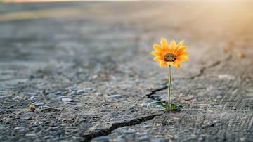 Ascoltare l’invisibile: la Dott.ssa Caterina Marra racconta la psicologia nei contesti ad alta vulnerabilità immagine