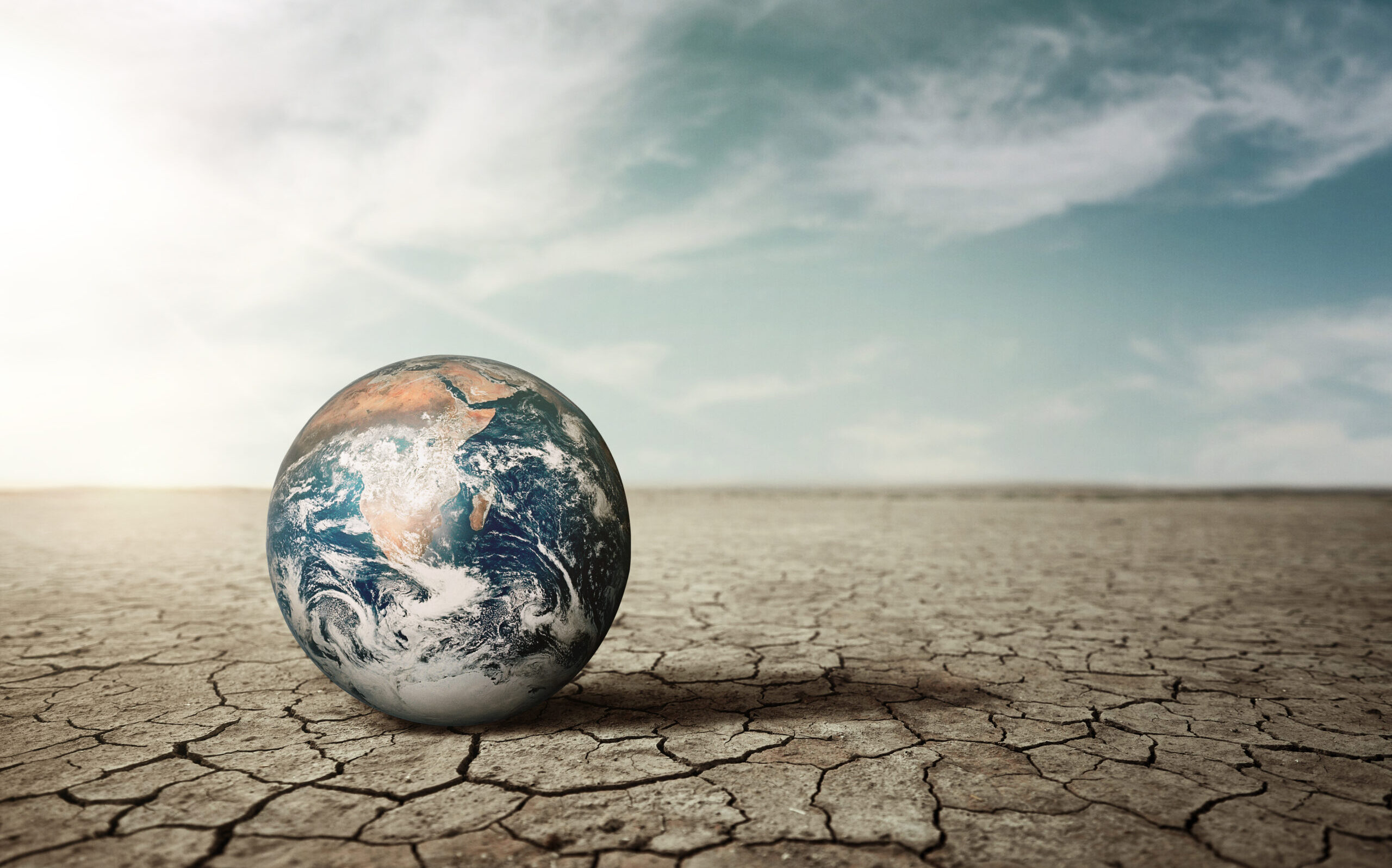 Cambiamento climatico e imprese: la nuova mappa del rischio competitivo Immagine
