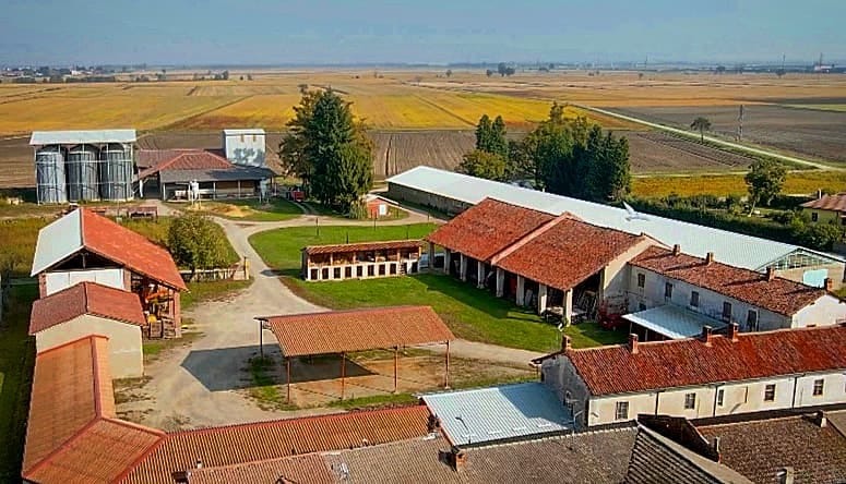Azienda Agricola Magni: quasi un secolo di storia, passione risicola e innovazione gluten free Immagine
