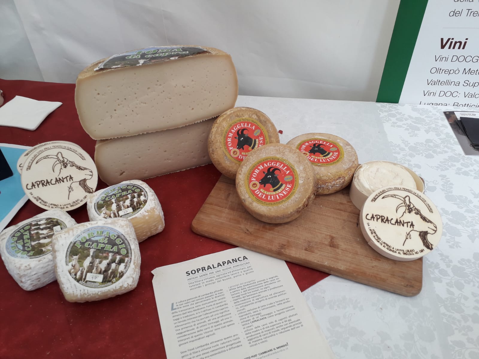 Azienda agricola “Il Vallone”: passione, tradizione e l’eccellenza del latte di capra in Valcuvia Immagine