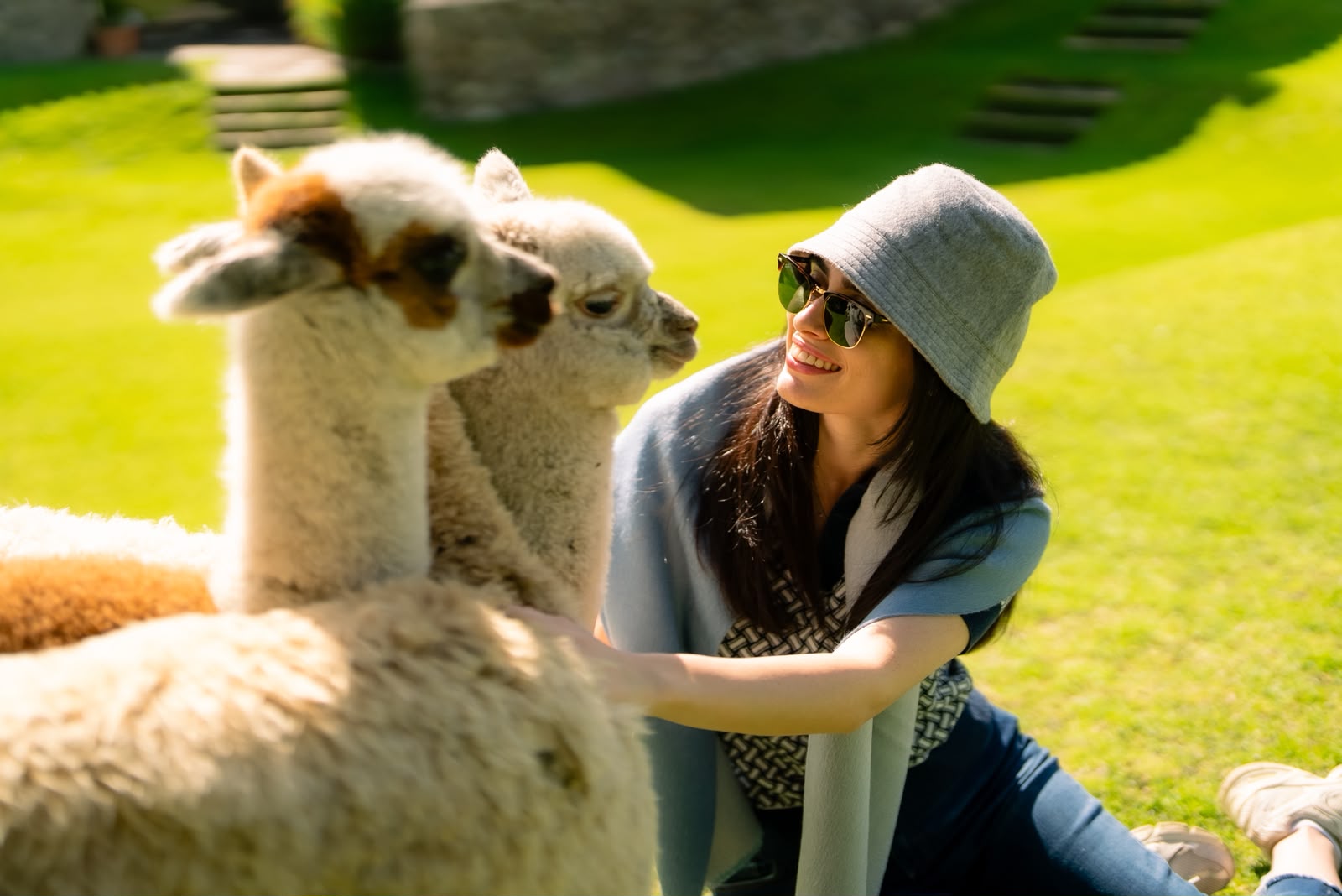 Alpaca e vicuña, l’eccellenza del Perù nel design europeo: l’universo di Marina Buraschi Immagine