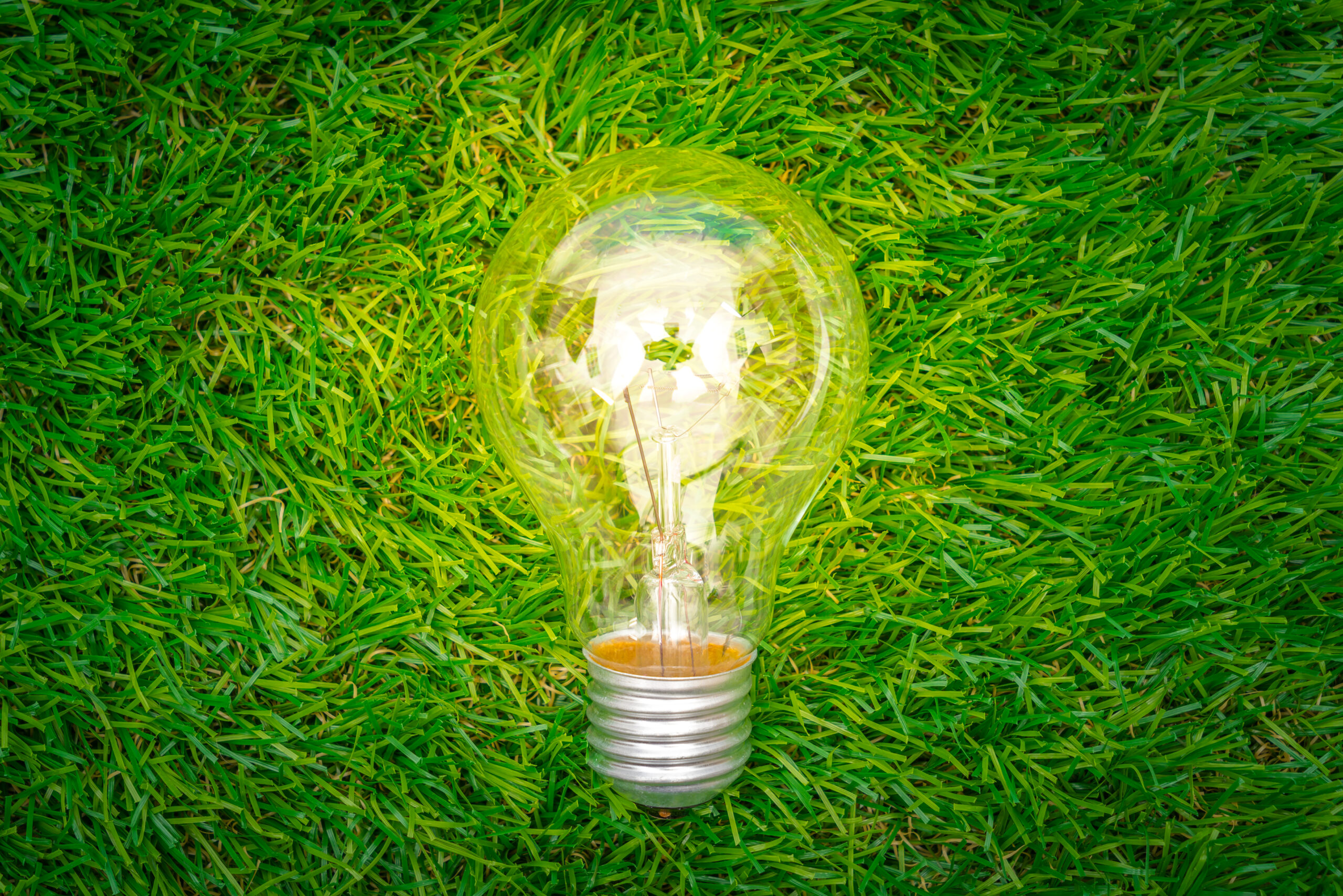 BRIGO – Breathe New Energy: la rivoluzione del trasporto merci 100% elettrico Immagine